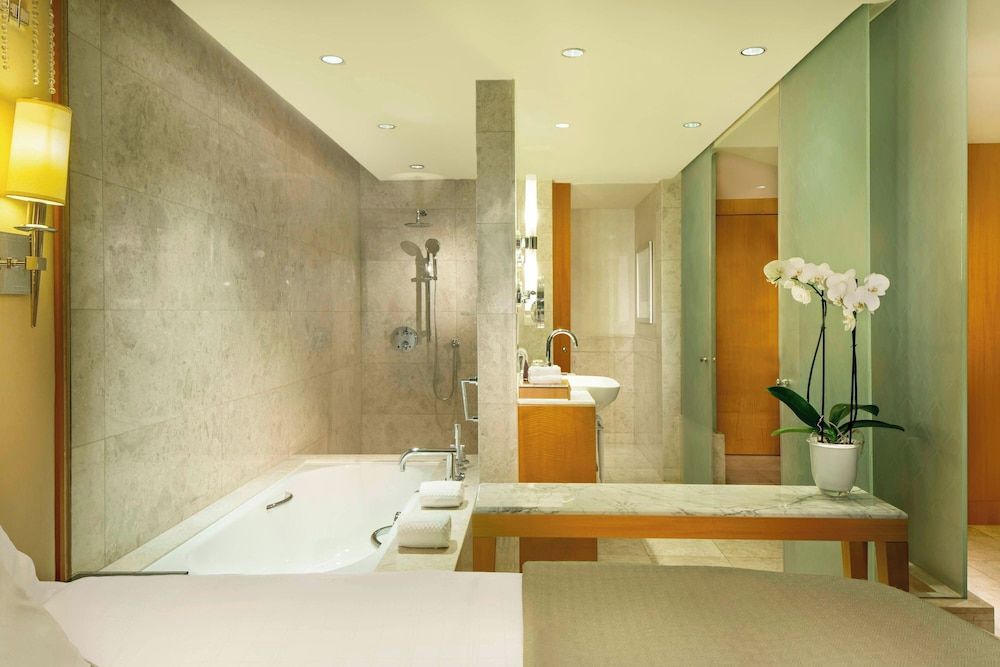 The Ritz-Carlton, Dubai International Financial Centre Deluxe Room 11