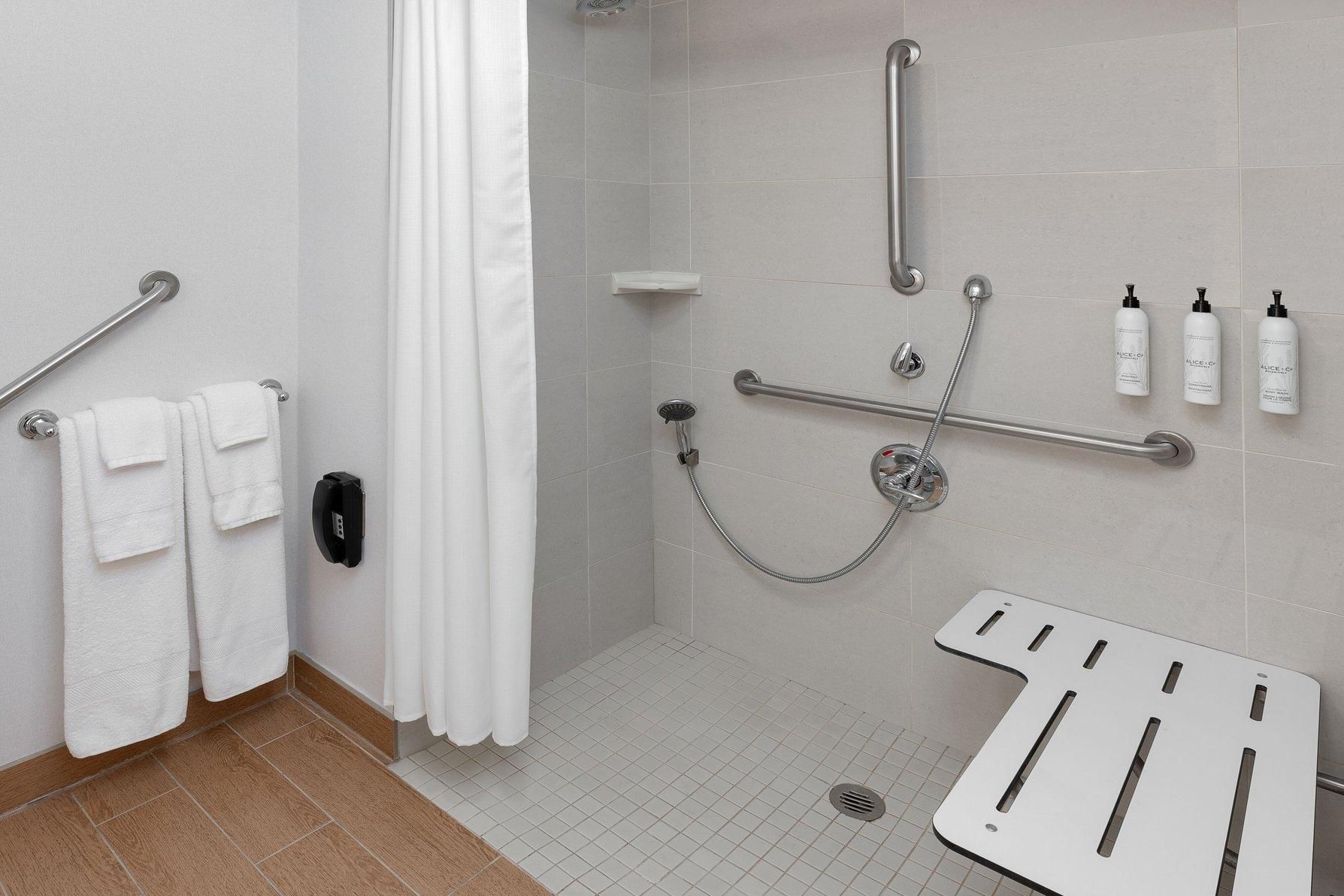 Accessible, Studio, 1 Queen, Sofa bed