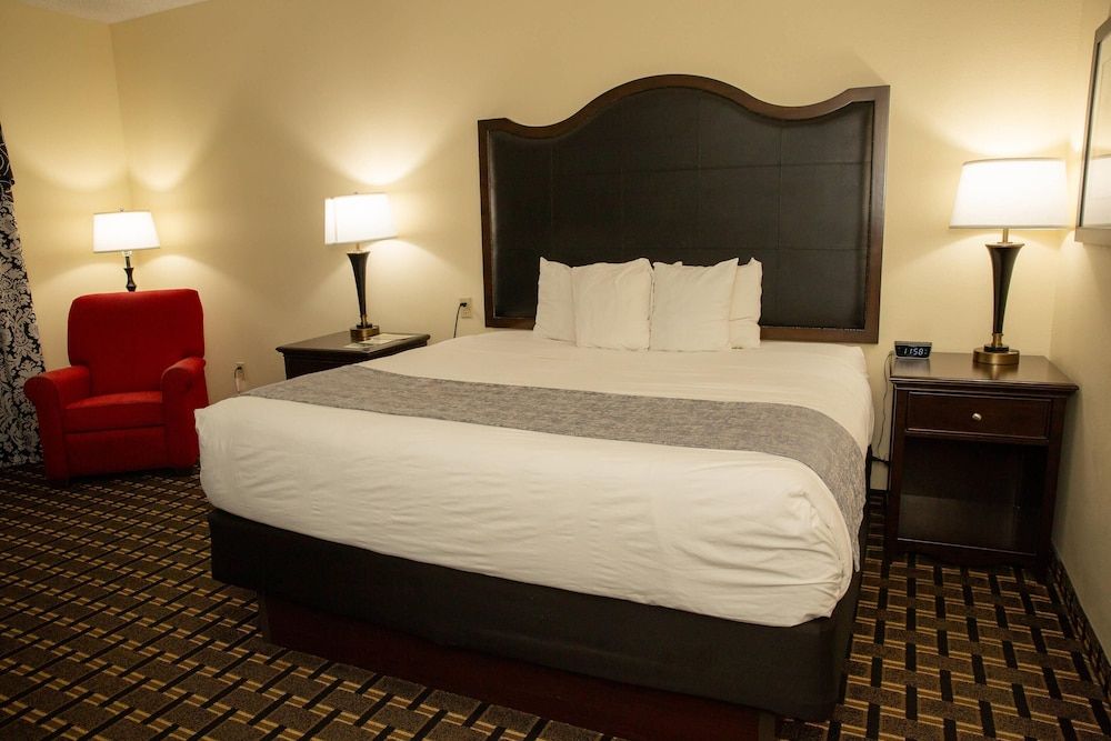 Standard Room, 1 King Bed, Non Smoking