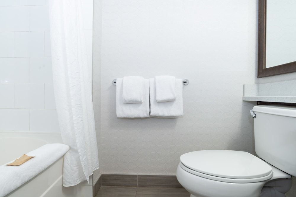 Sandman Hotel & Suites Calgary South Standard Room, 1 King Bed 4