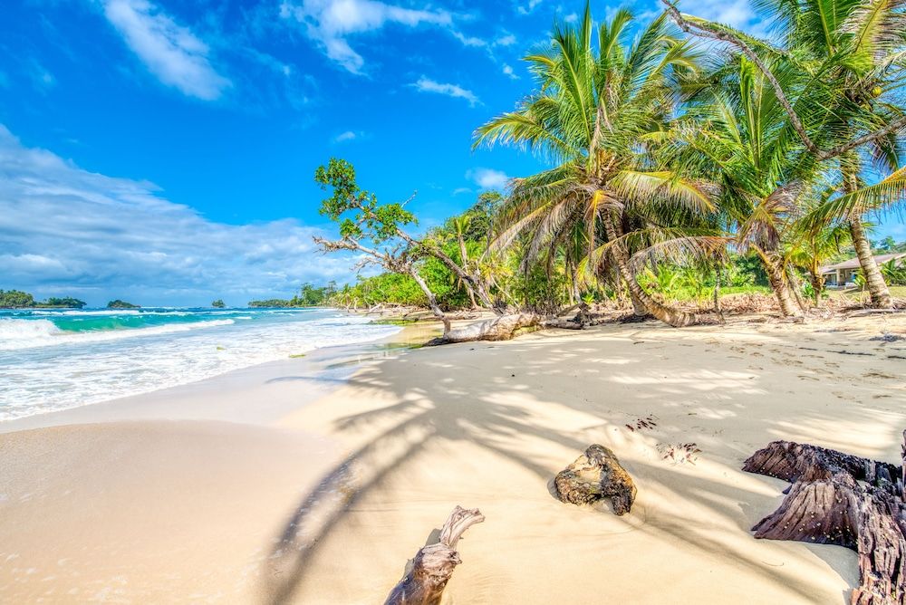 Red Frog Beach Island Resort Comfort Studio, 1 King Bed, Ocean View, Beachfront 7