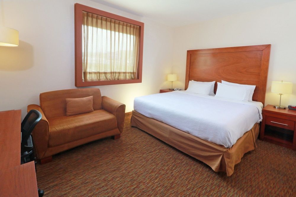 Studio Suite, 1 King Bed, Smoking, Kitchen