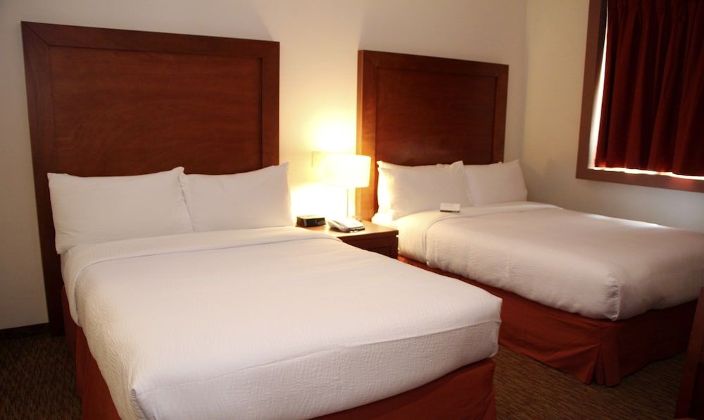 Suite, 1 Bedroom, Kitchen