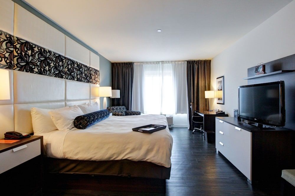 Standard Room, 1 King Bed, Accessible (Roll-In Shower)