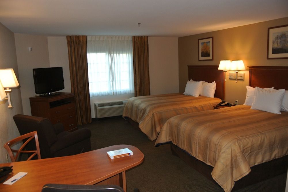 Studio, 2 Queen Beds