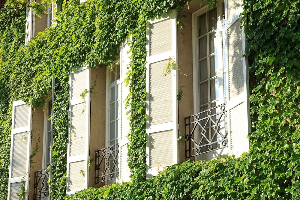 undefined Le Rêve Boutique Hotel 5