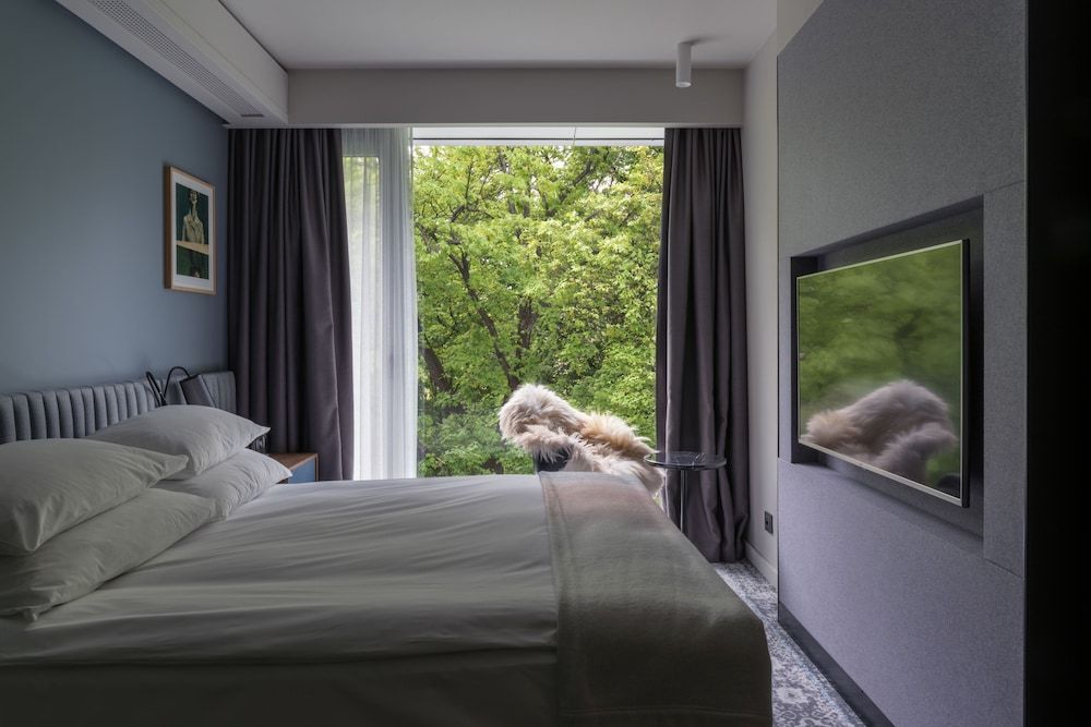 Classic Room, 1 King Bed (Plus)