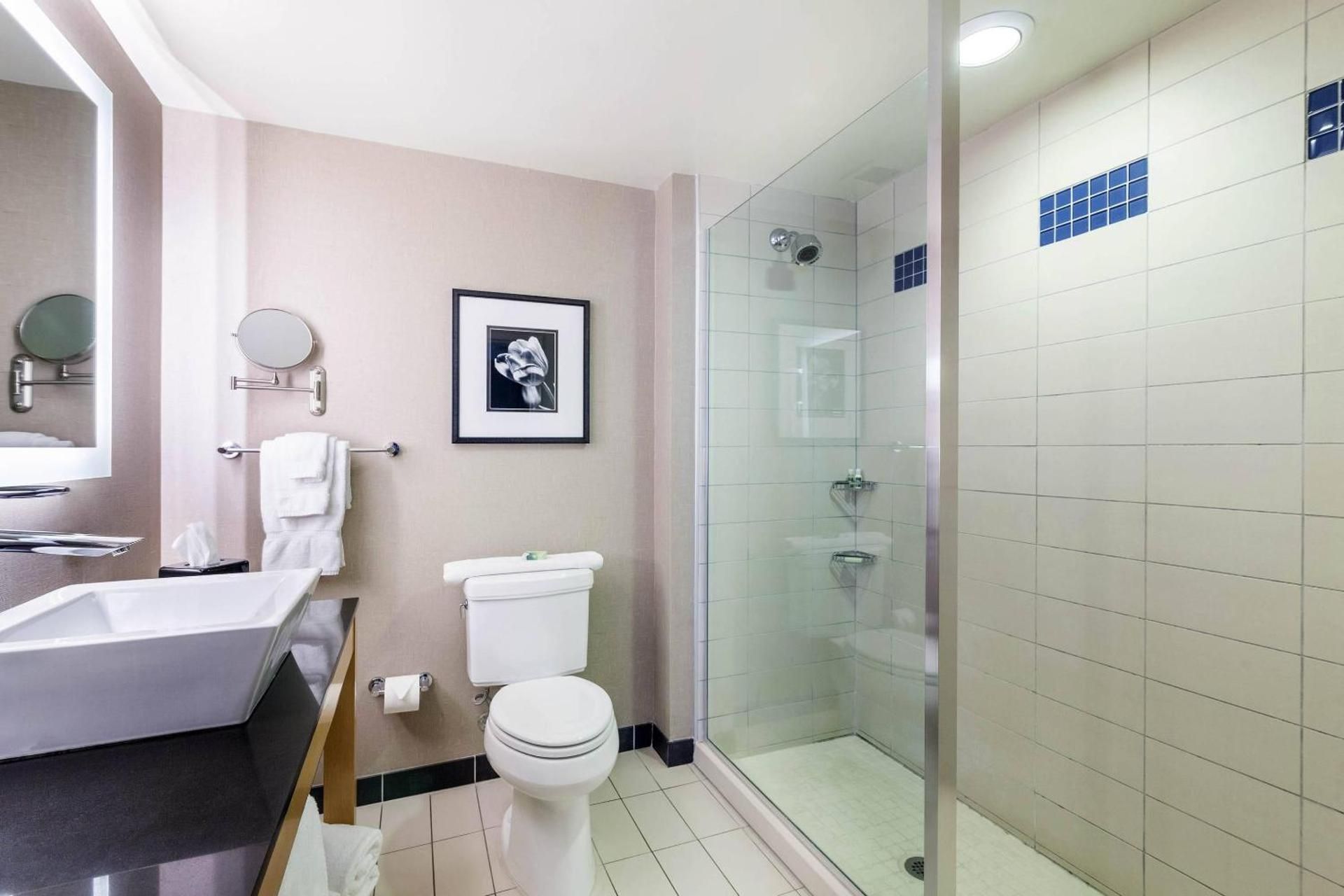 undefined Cambria Hotel Pittsburgh - Downtown 9