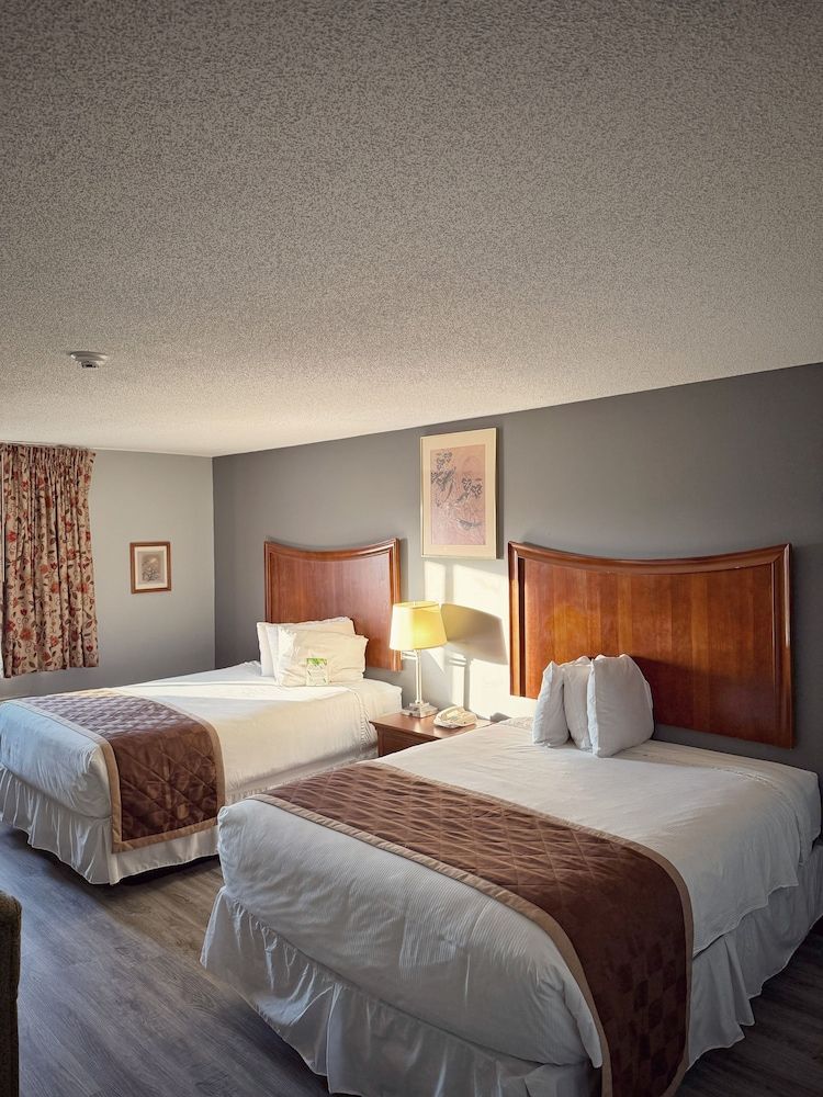 Standard Room, 2 Queen Beds