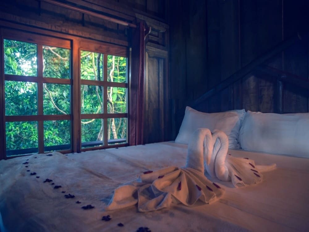 Maquenque Eco Lodge Tree House, 1 King Bed, Mountain View 2