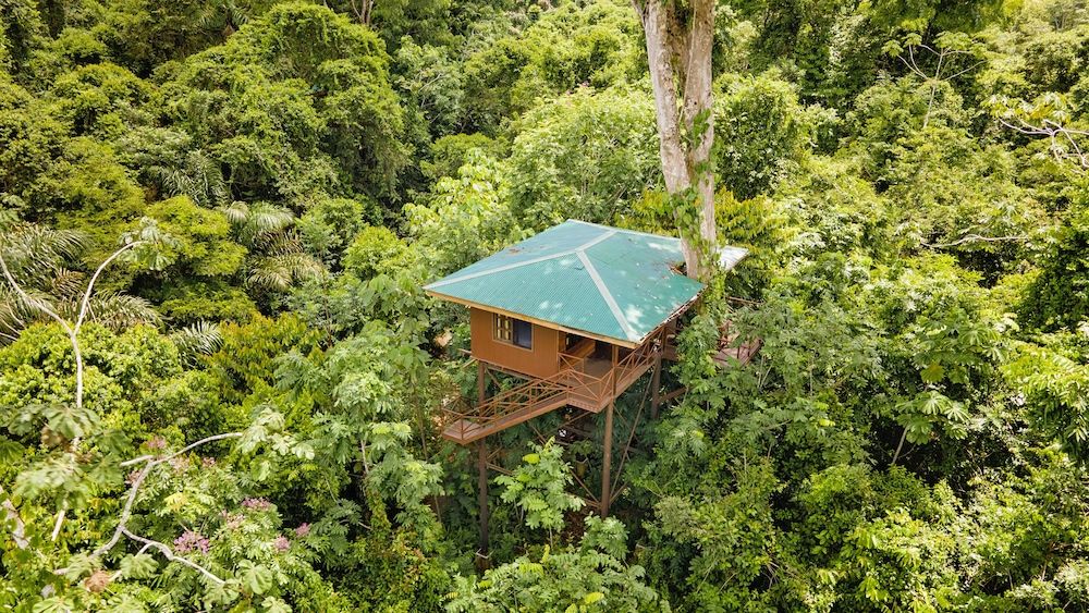 Maquenque Eco Lodge Family Tree House, Mountain View 4