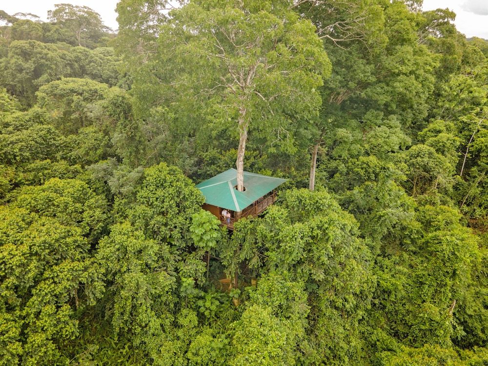 Maquenque Eco Lodge Family Tree House, Mountain View 5