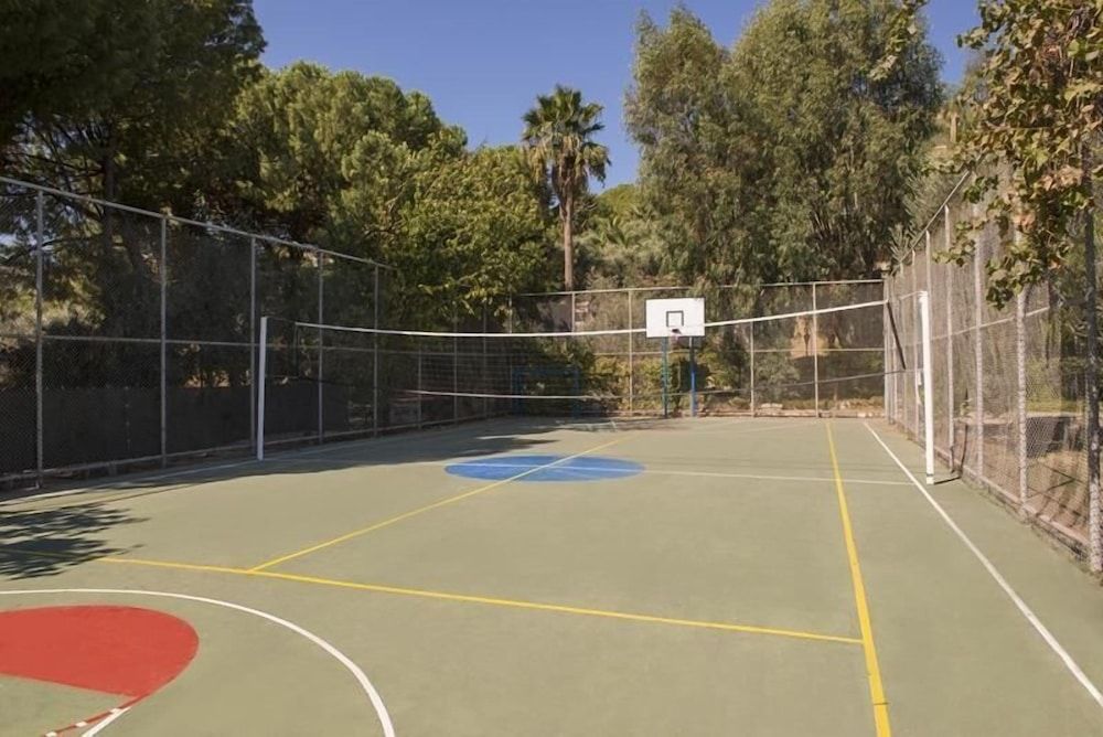 Basketball Court
