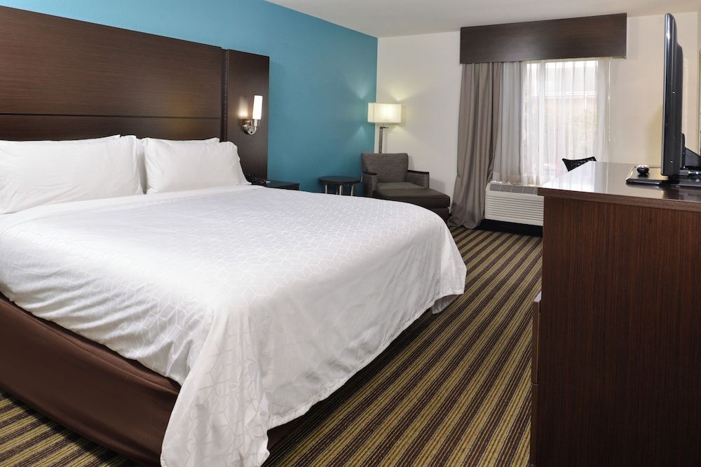 Room, 1 King Bed, Accessible (Comm, Mobil Tub)