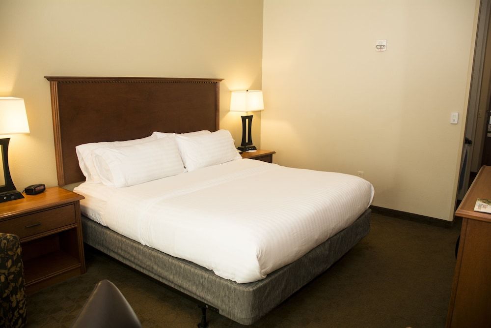 Suite, 1 King Bed with Sofa bed