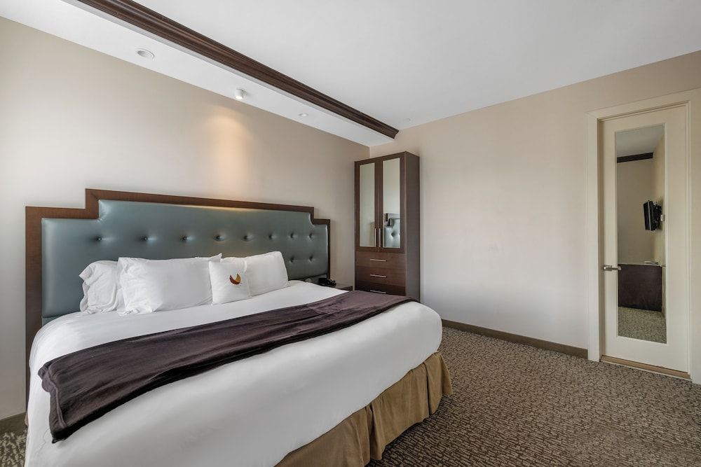 Aura Hotel Brooklyn Superior King Room Suite with Terrace 2