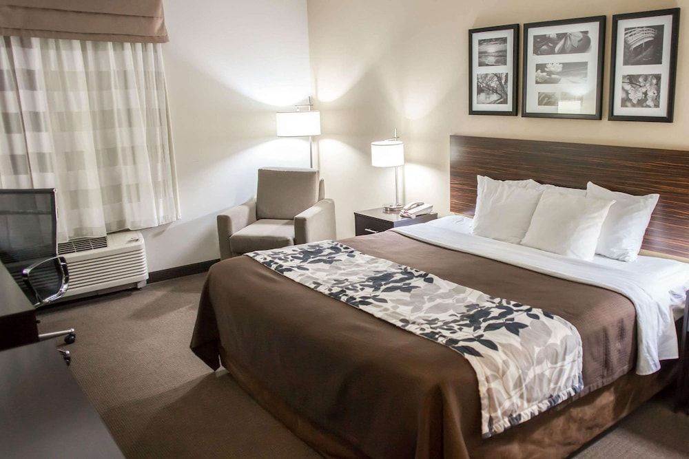 Standard Room, 1 King Bed, Non Smoking