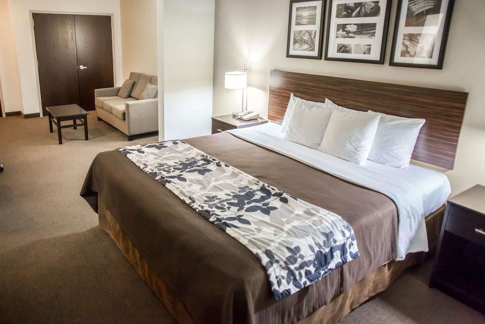 Suite, 1 King Bed with Sofa bed, Accessible, Non Smoking