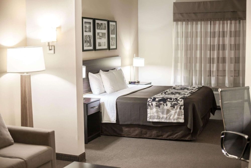 Suite, 1 King Bed with Sofa bed, Accessible, Non Smoking