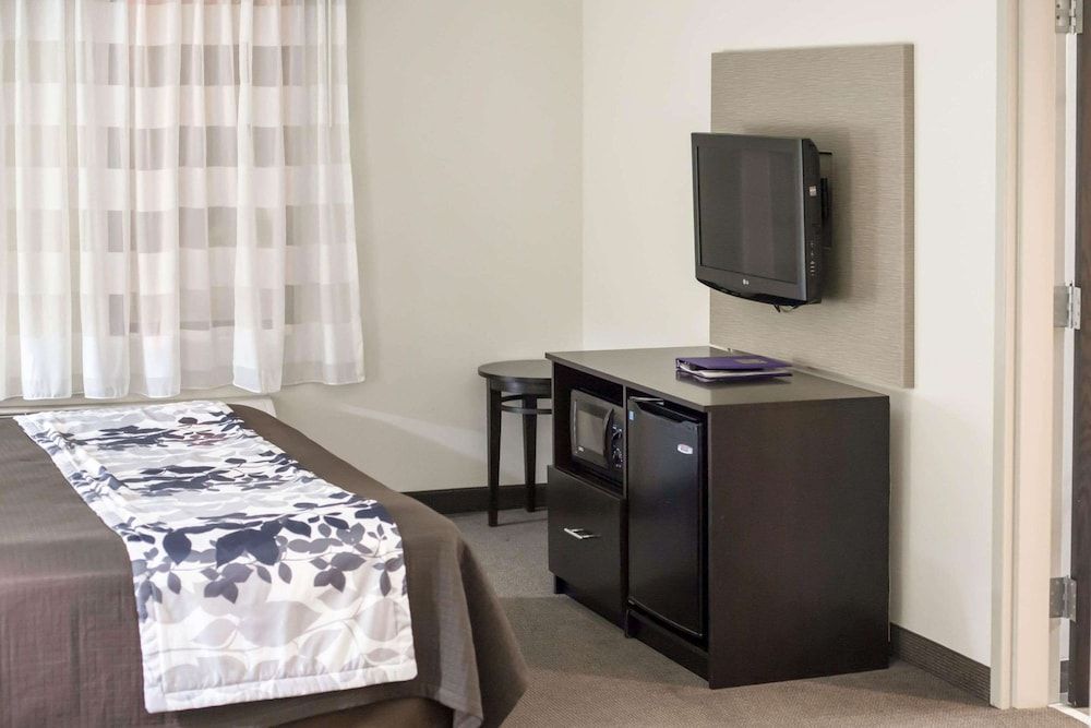 Suite, 1 King Bed with Sofa bed, Non Smoking