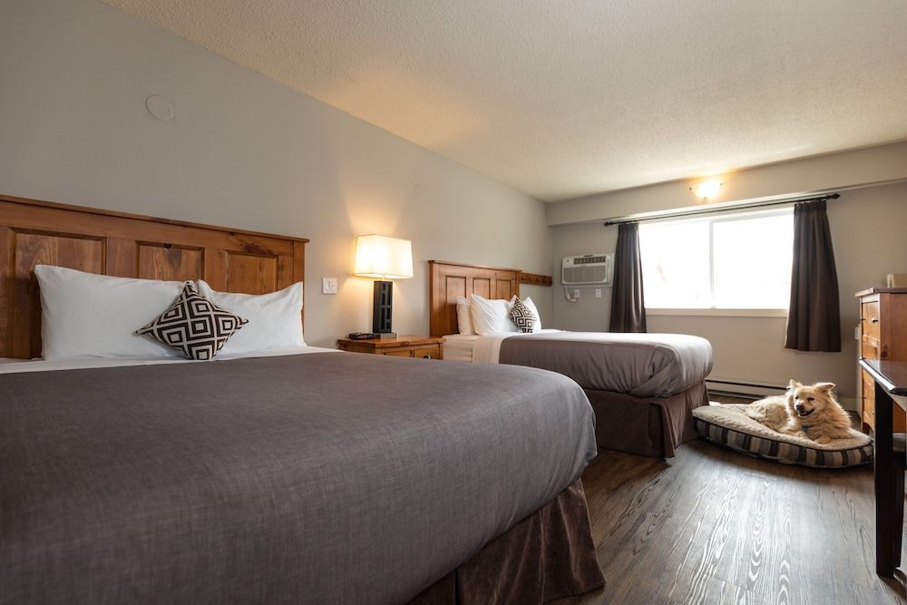 Red Tree Lodge Standard Room, 2 Queen Beds (Pet Friendly)