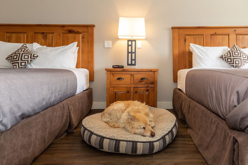 Red Tree Lodge Standard Room, 2 Queen Beds (Pet Friendly) 2
