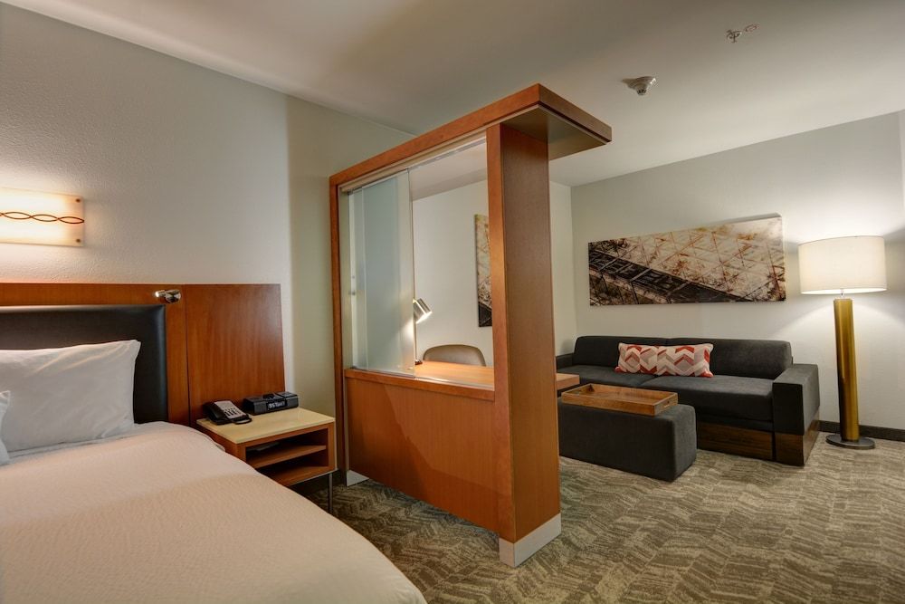 Studio, 1 King Bed with Sofa bed (Hearing Accessible)