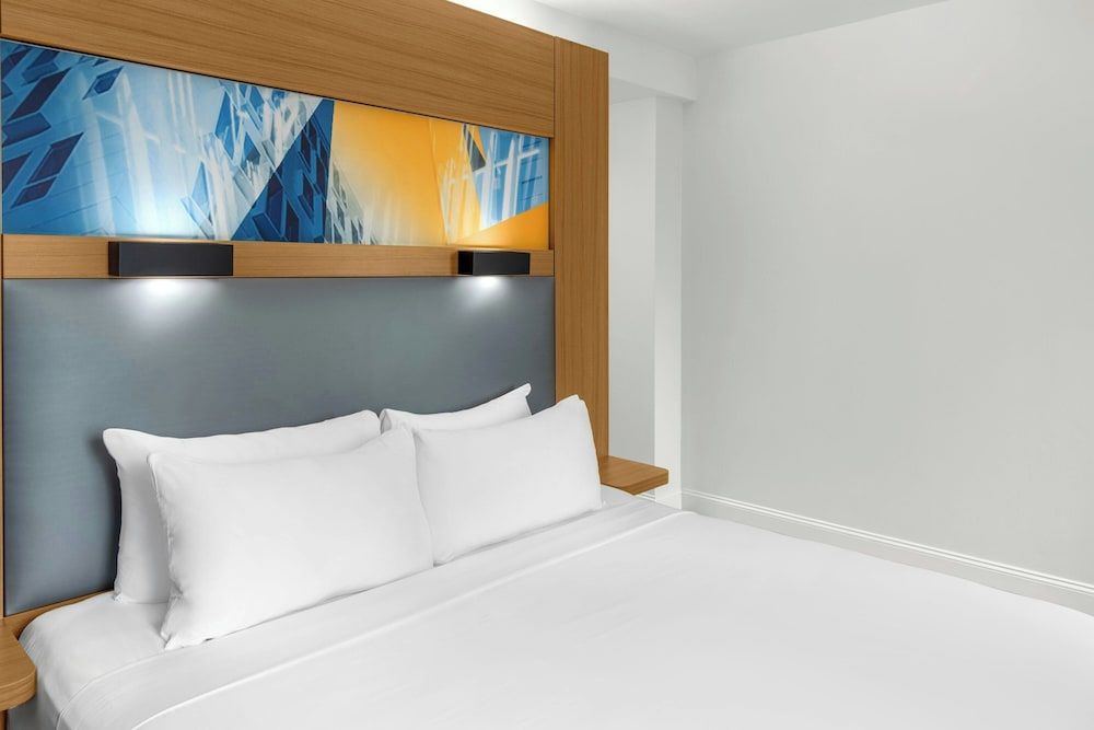 Room, 1 King Bed (Mobility/Hearing Access, Roll-In Shwr)