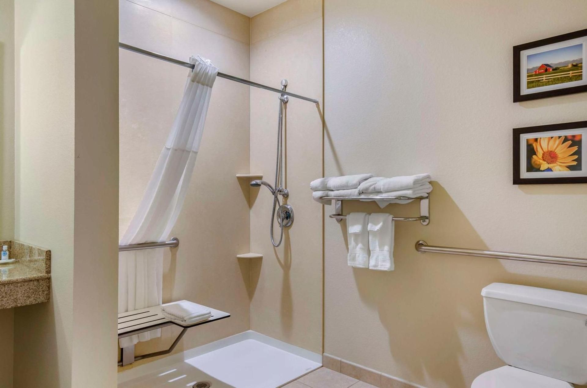 1 King Bed, Efficiency, Suite, Nonsmoking, Accessible