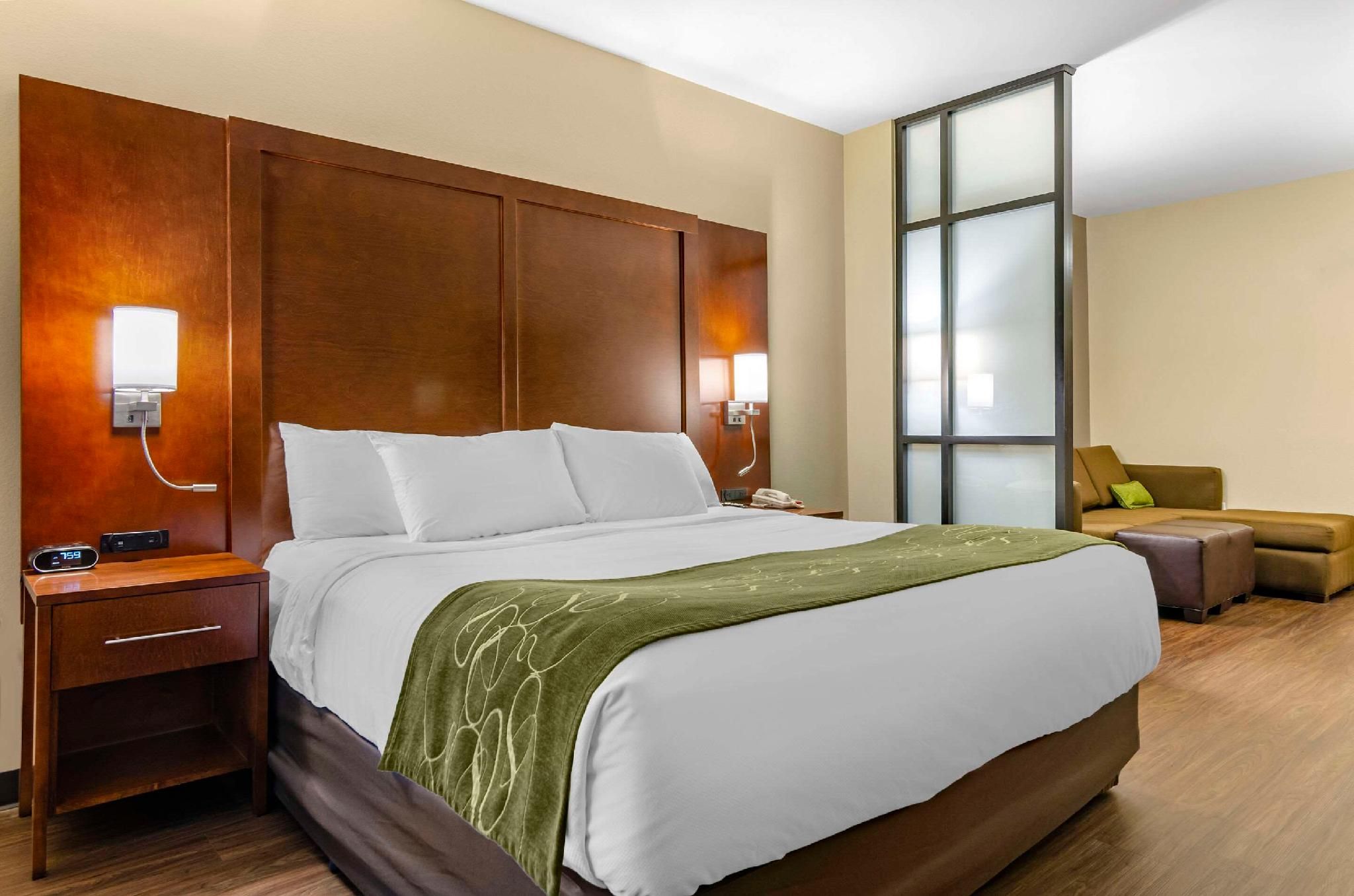 1 King Bed, Efficiency, Suite, Nonsmoking, Accessible