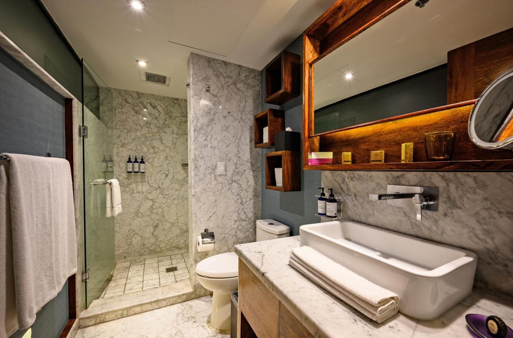 undefined Las Suites Campos Eliseos 6