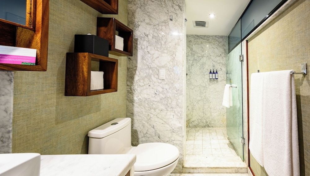 Las Suites Campos Eliseos Executive Suite, 1 King Bed 6