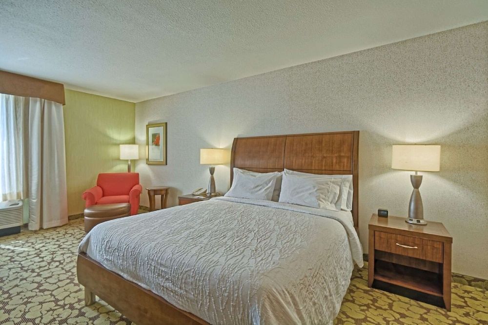 Room, 1 King Bed