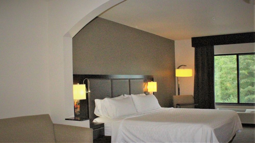 Suite, 1 King Bed (Additional Living Area)