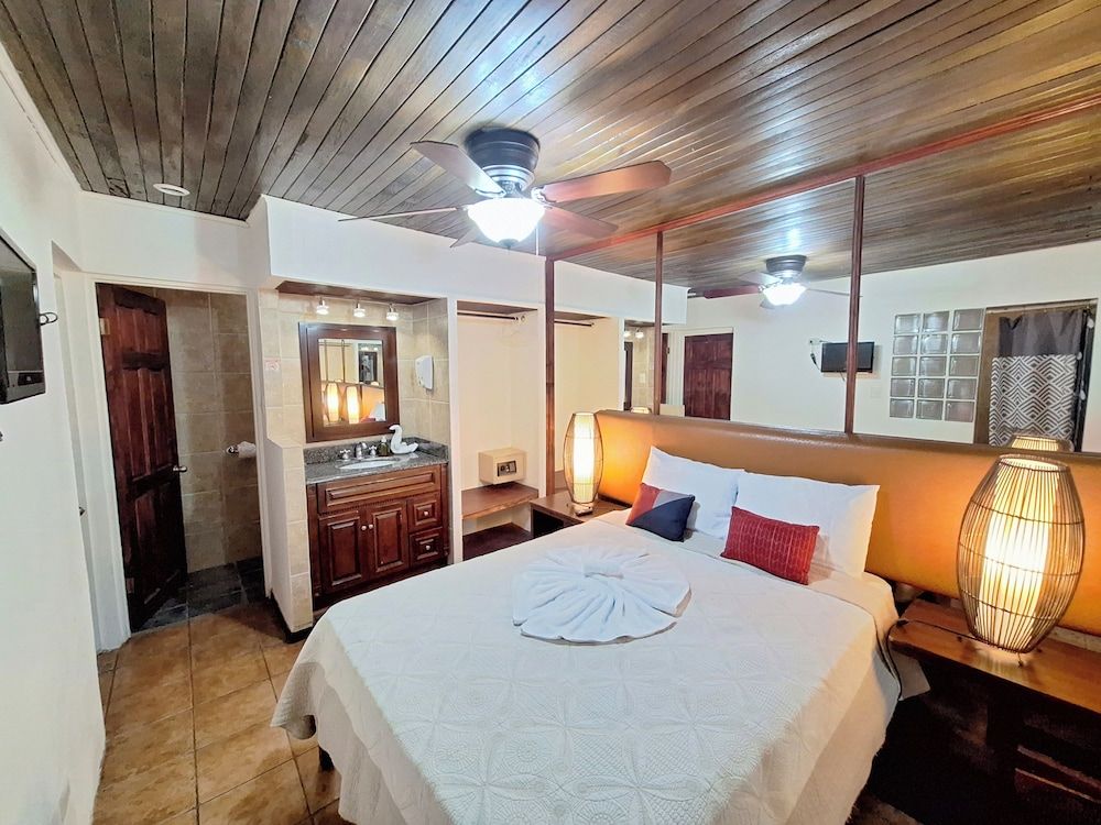 Colours Oasis Resort ADULT ONLY Standard Room