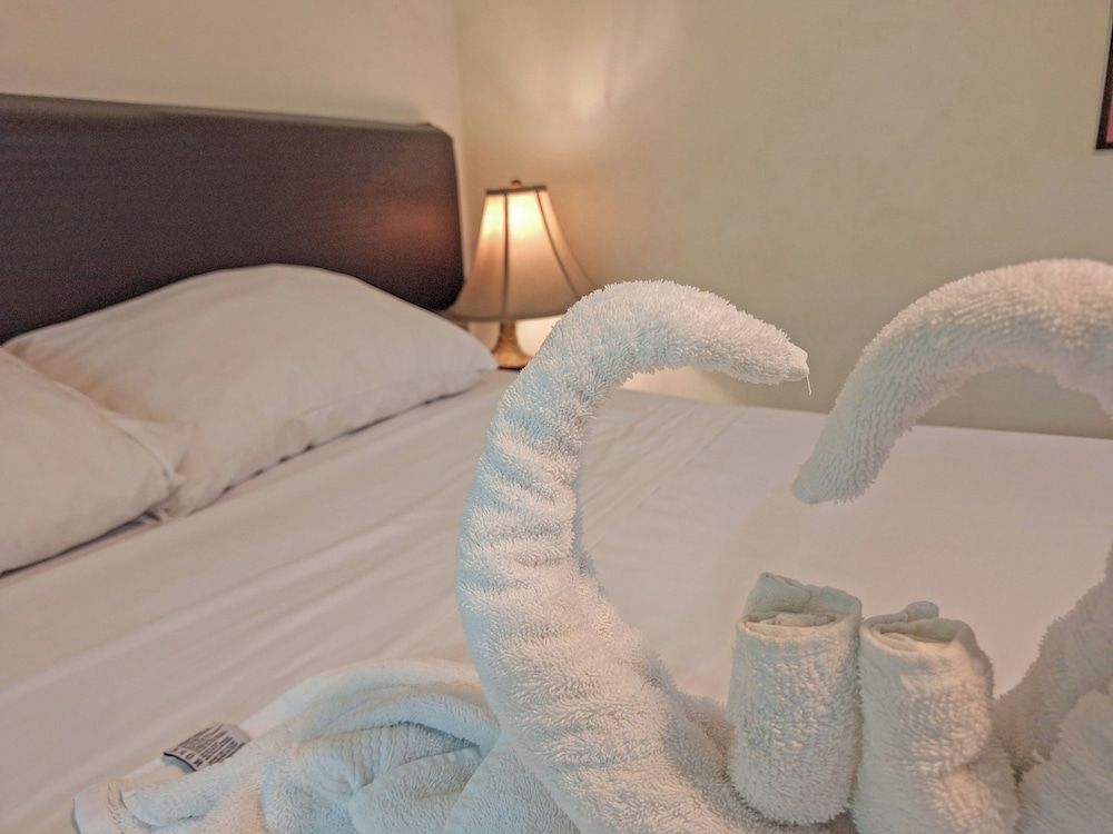 Colours Oasis Resort ADULT ONLY Standard Room 14