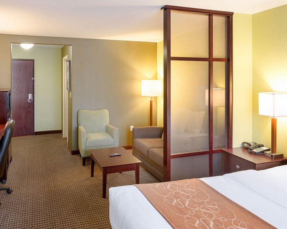 Studio Suite, 1 King Bed with Sofa bed, Accessible, Non Smoking