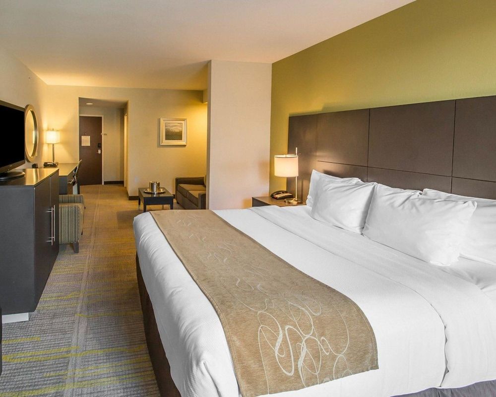 Suite, 1 King Bed with Sofa bed, Non Smoking