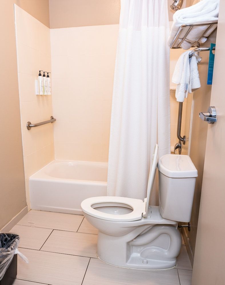 Suite, 1 King Bed with Sofa bed, Non Smoking (Mobility Accessible, Tub)