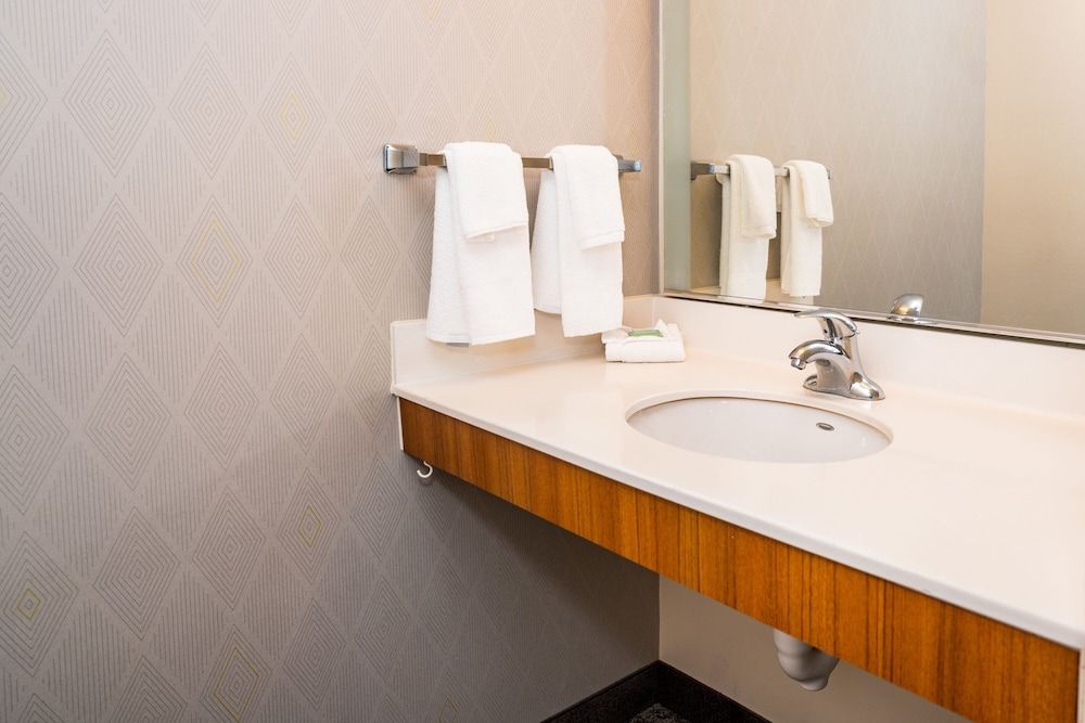 Suite, 1 King Bed with Sofa bed, Non Smoking (Mobility Accessible, Roll-In Shower)