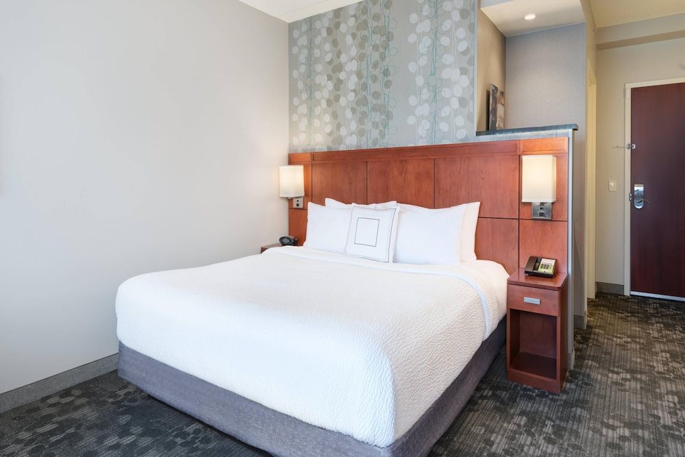 Room, 1 King Bed with Sofa bed (Mobility/Hearing Access, Roll-In Shwr)