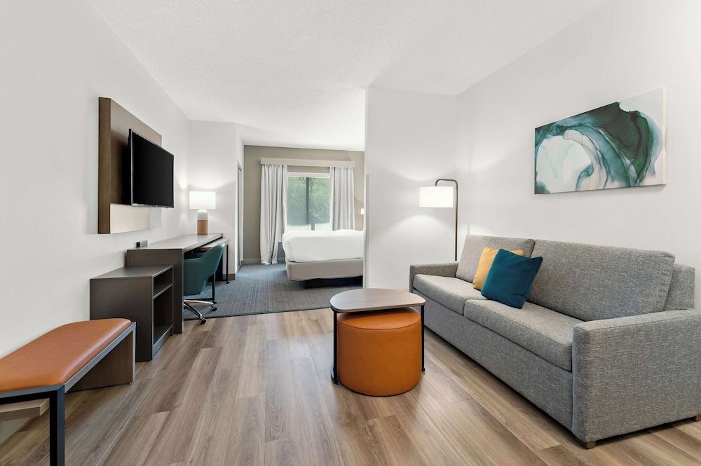 Single Room, 1 King Bed with Sofa bed, Non Smoking (Efficiency)