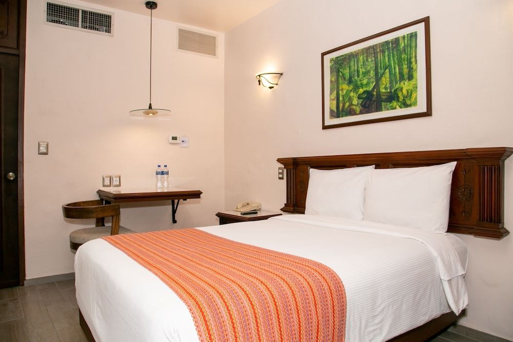 Hotel Alameda Centro Historico Executive Single Room, 1 King Bed 3