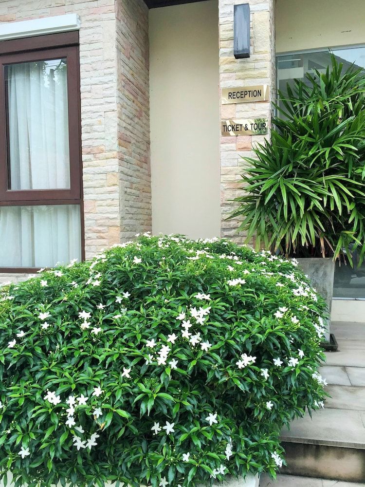 undefined Montien House Chaweng Beach Resort 3