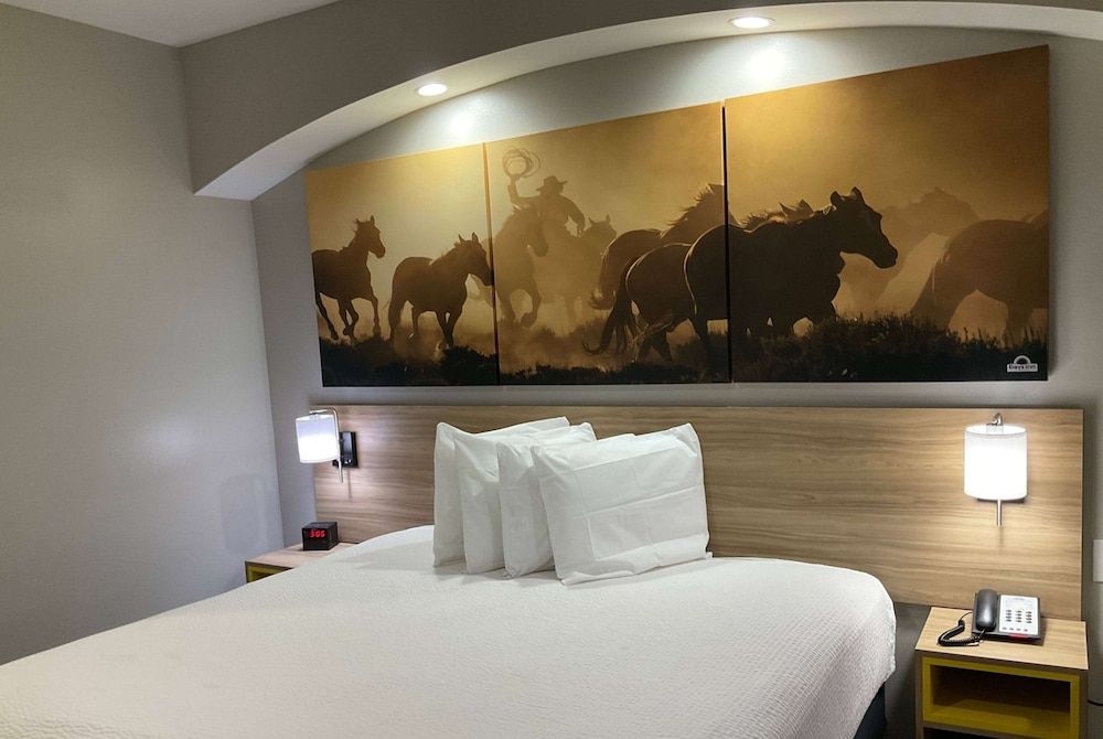Room, 1 King Bed, Accessible, Non Smoking (Mobility,Hearing,Roll-In Shower)