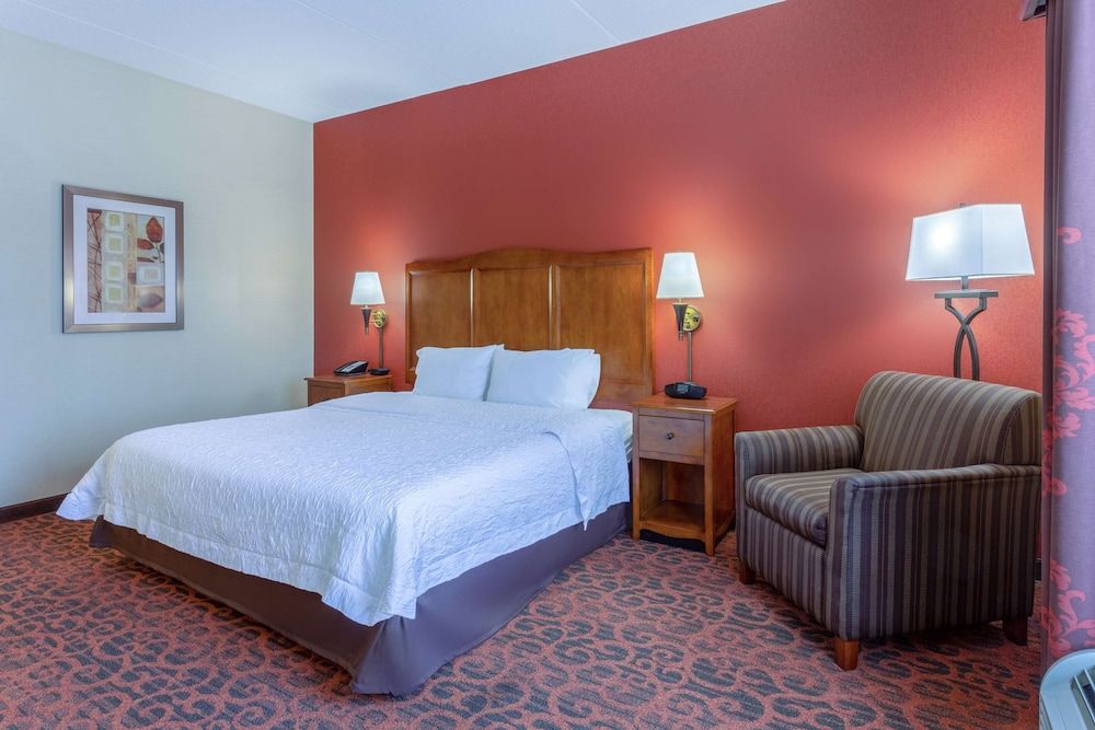 Room, 1 King Bed, Accessible, Non Smoking