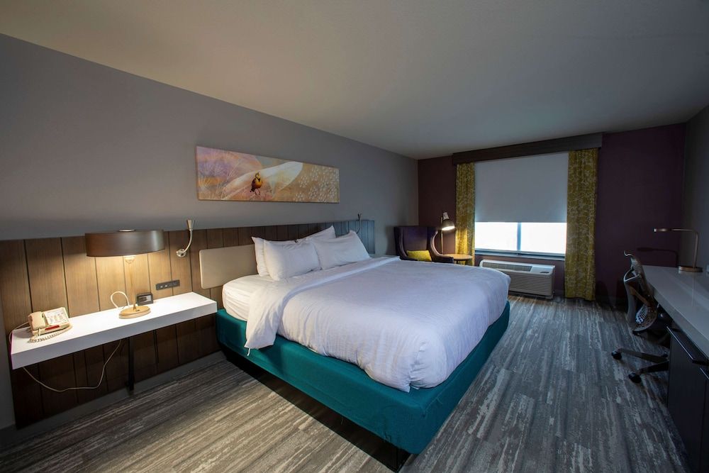 Room, 1 King Bed