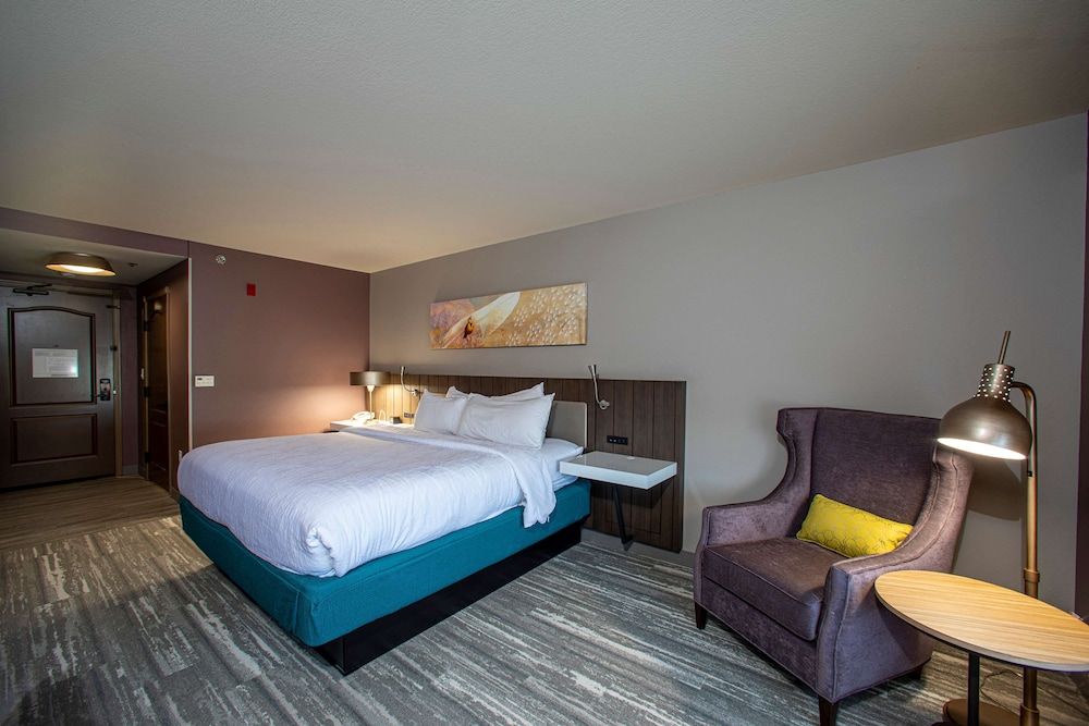Room, 1 King Bed