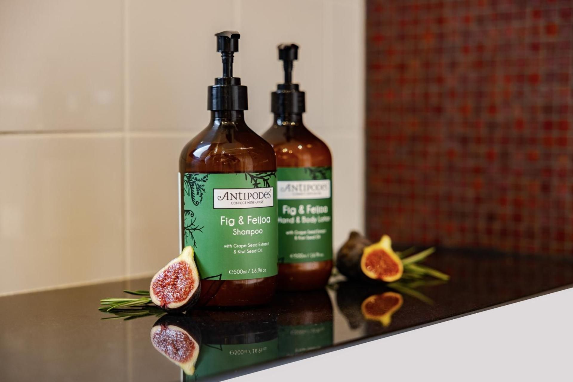 1 King Bed Standard Accessible