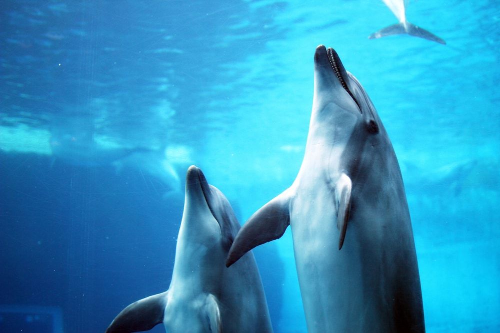 undefined Hotel Nature Nagoyasakae 7